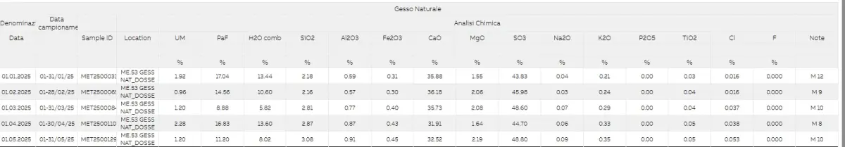 analisi gesso 2025